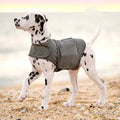 Calming Anxiety Relief Vest for Dogs